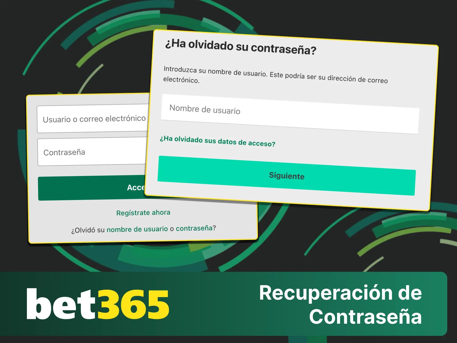 Inicia la recuperación de contraseña en Bet365 y vuelve a entrar a tu cuenta.